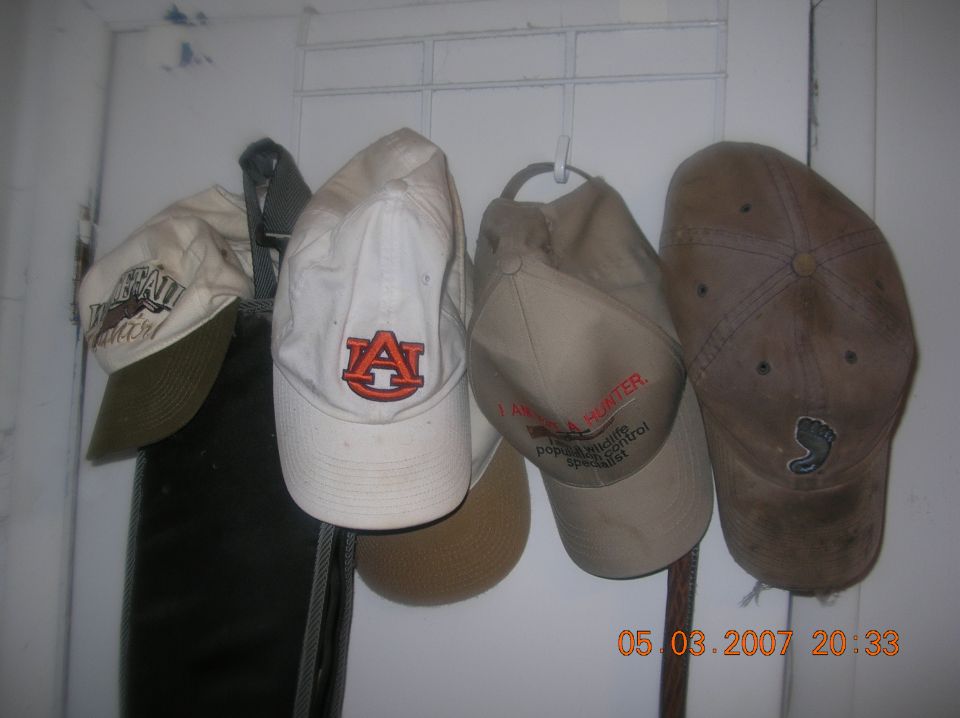 Four baseball caps hanging on hooks. One has an Auburn 'A' logo