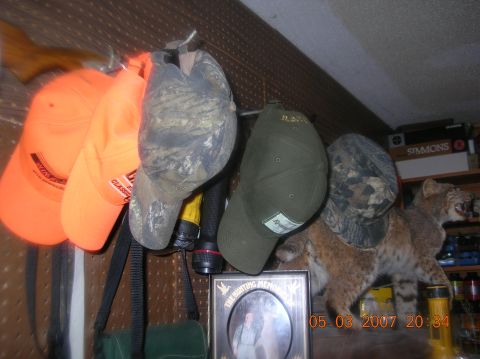 1991 Ford F-150 - Hunting caps and a taxidermied bobcat are displayed in a room.