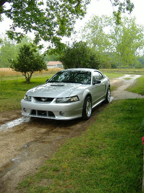 1999 Ford Mustang - Silver 1999 Ford Mustang coupe sits on a dirt road surrounded by greenery.