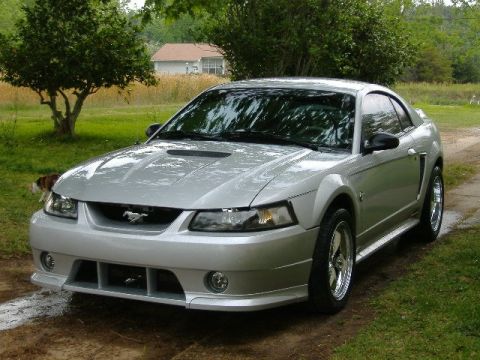 1999 Ford Mustang - A silver Ford Mustang is parked outdoors on a sunny day, with a house and trees visible behind it.