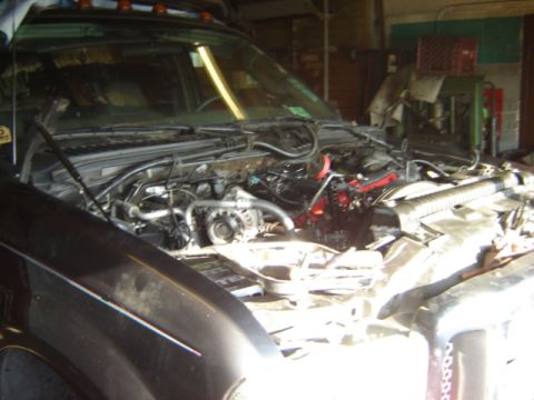 1992 Ford Bronco - Engine bay of a truck with the hood open, revealing the engine and various parts.