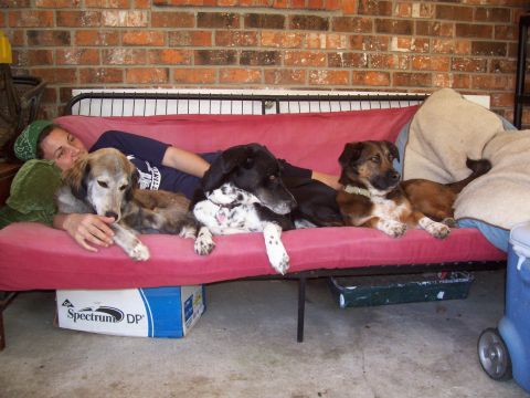 1992 Ford Bronco - A person and their canine companions relax together on a couch, with a box visible underneath.