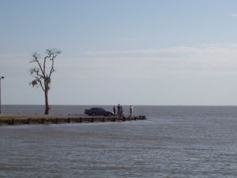 1992 Ford Bronco - People and a car are gathered on a pier overlooking the water on an overcast day.
