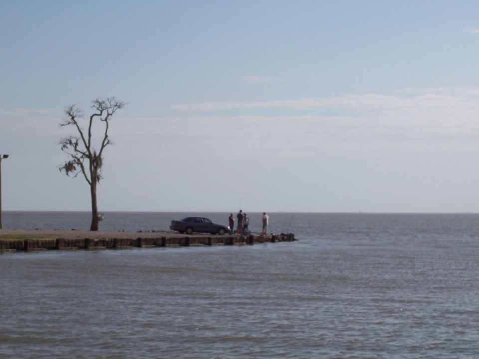 Dark sedan parked on a pier next to a tree, with several people standing nearby by the water
