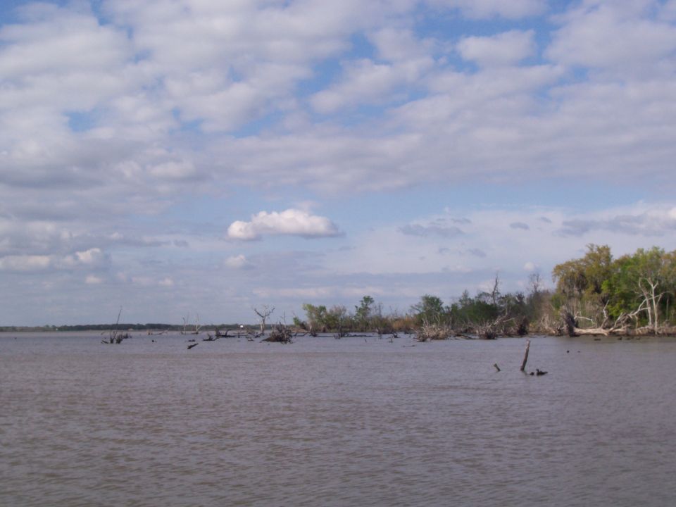swampy area with dead trees sticking out of the water under a cloudy sky. Supermotors.net logo in corner