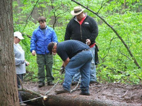 1996 Ford Bronco - People work together to clear a fallen log from a trail in a wooded area.