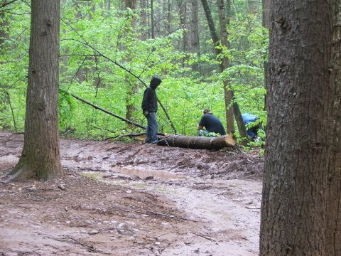 1996 Ford Bronco - Forest trail cleanup involves moving a large fallen tree from the path.