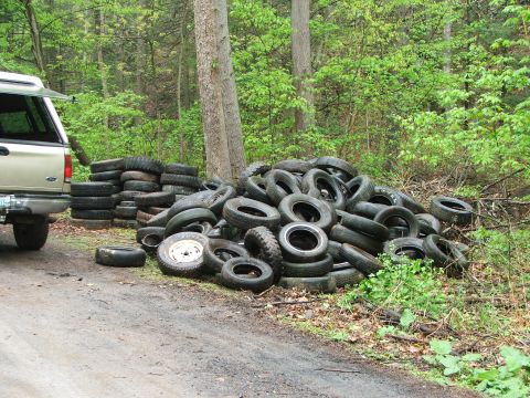 1996 Ford Bronco - A pickup truck sits beside a large pile of old tires in a forest clearing.
