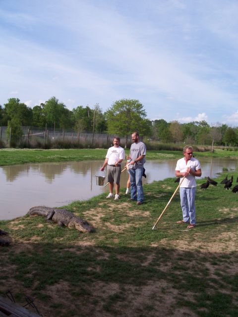 1992 Ford Bronco - Several people observe an alligator near a body of water while birds gather nearby.