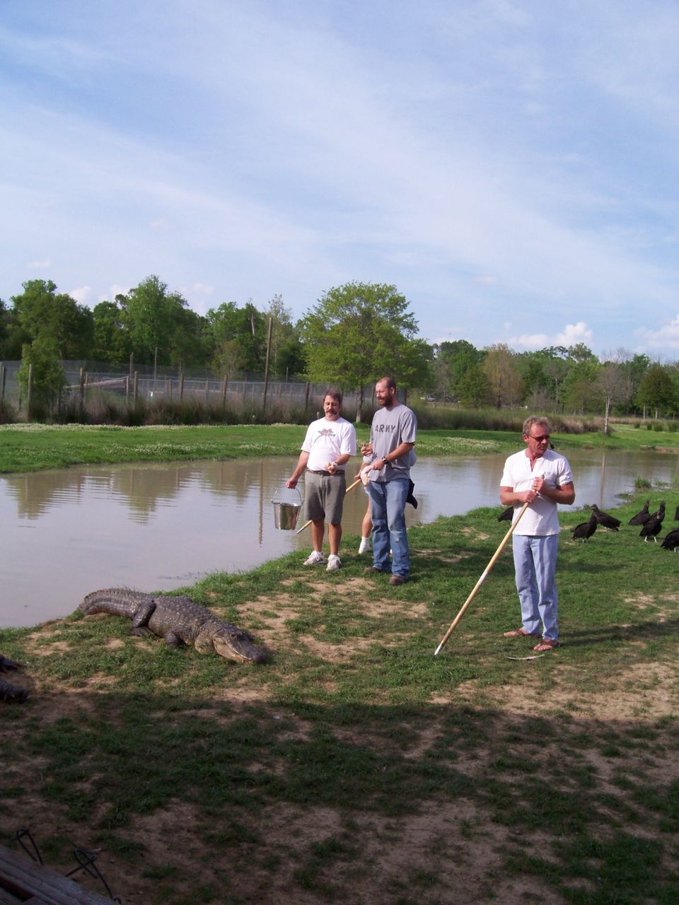 People stand by a pond with an alligator on the bank and birds in the background