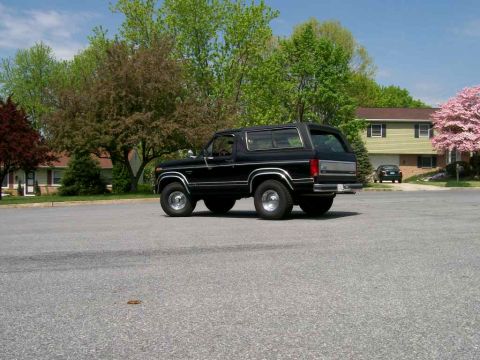 1984 Ford Bronco - Black Ford Bronco parked on asphalt in a suburban setting with trees and houses in the background.