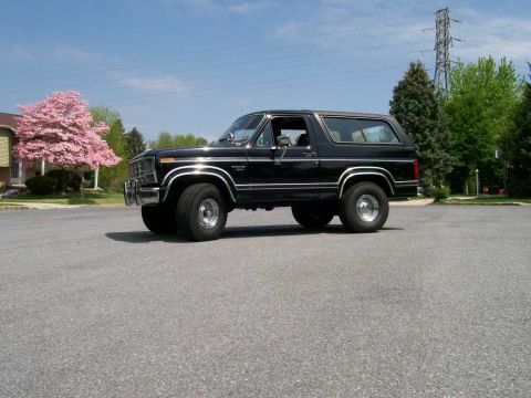 1984 Ford Bronco - A black Ford Bronco is parked on a street with a flowering tree and a house in the background.