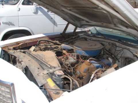 1973 Ford Ranchero - The engine bay of a 1973 Ford Ranchero is shown, with a white van visible behind it.