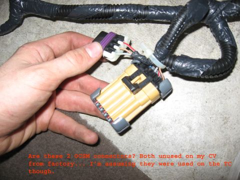 2001 Ford Crown Victoria - Question about unused OCSM connectors, possibly from a 2001 Ford Crown Victoria, potentially used on a TC.
