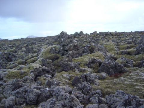1974 Ford Bronco - A landscape of moss-covered volcanic rocks stretches towards a hazy horizon under an overcast sky.