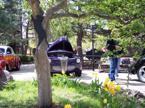 1972 Ford Ranchero - A vintage purple coupe is displayed with its hood up, surrounded by blooming yellow tulips and trees.