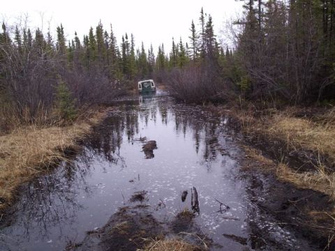1986 Ford F-150 - A lone off-road vehicle is submerged in a muddy, water-filled path through a forest.
