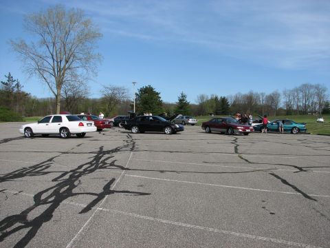 2003 Ford Crown Victoria - A group of cars are gathered in a parking lot on a sunny day.
