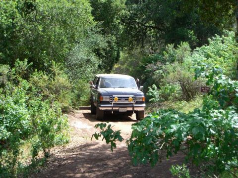 1980 Ford F-250 - Ford F-250 navigates a wooded trail.