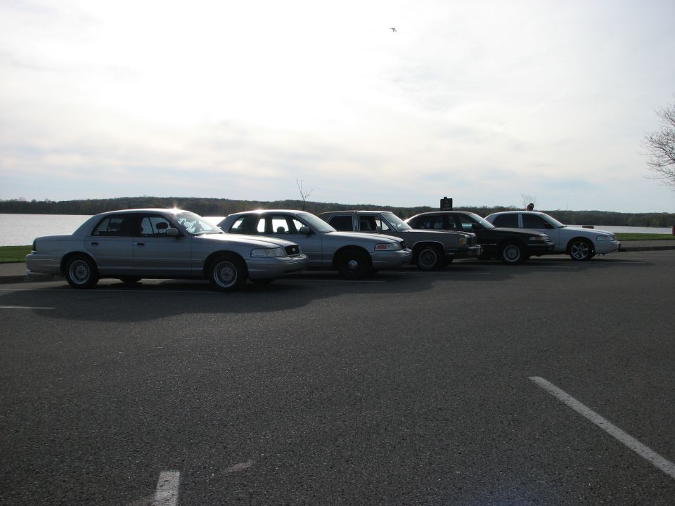 Four silver Ford Crown Victorias parked in a row by a body of water