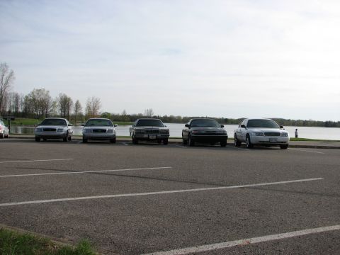 2003 Ford Crown Victoria - Several Ford Crown Victorias are parked in a lot near a body of water under a cloudy sky.