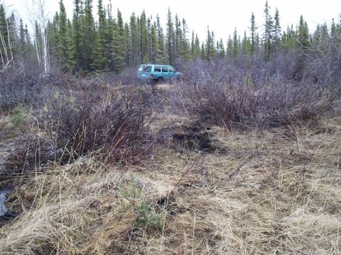 1986 Ford F-150 - A teal SUV navigates a rough, wooded terrain with dense underbrush and tall trees.