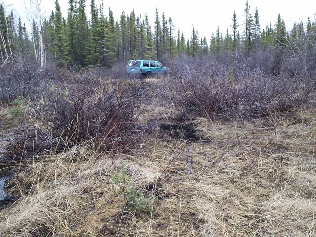 Teal SUV driving through a wooded, brushy area. Looks like it's off-roading