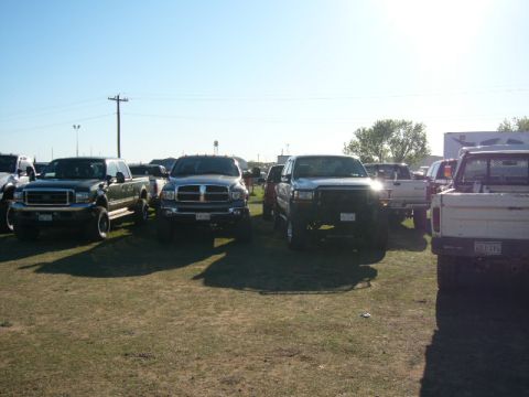 1978 Ford Bronco - A group of pickup trucks are parked in a grassy lot on a sunny day.