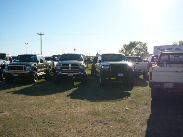 Several lifted pickup trucks parked on grass under a clear sky. One truck has a black grille and bumper