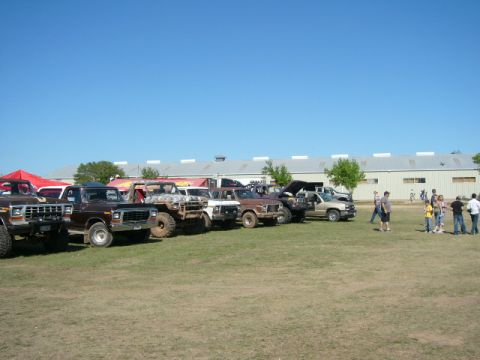 1978 Ford Bronco - Several Ford Broncos and trucks are parked in a row on a sunny day.