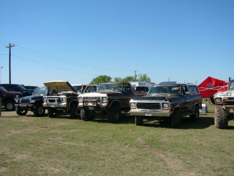 1978 Ford Bronco - A lineup of Ford Bronco SUVs are parked on a grassy field on a sunny day.