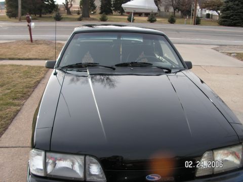 1988 Ford Mustang - Black 1988 Ford Mustang front view.