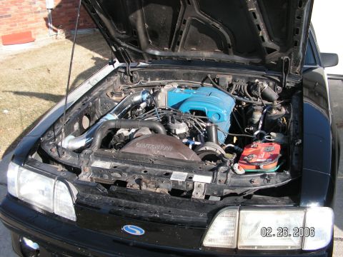 1988 Ford Mustang - The engine bay of a 1988 Ford Mustang shows blue valve covers and an aftermarket intake system.