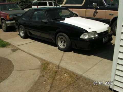 1988 Ford Mustang - 1988 Ford Mustang with a white hood, parked on a concrete driveway with other vehicles present.