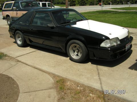 1988 Ford Mustang - A black coupe with a white hood is parked on a driveway, with another vehicle behind it.