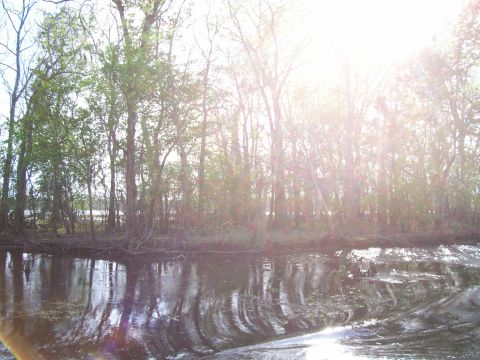1992 Ford Bronco - Trees and water scene with reflections under bright sunlight.