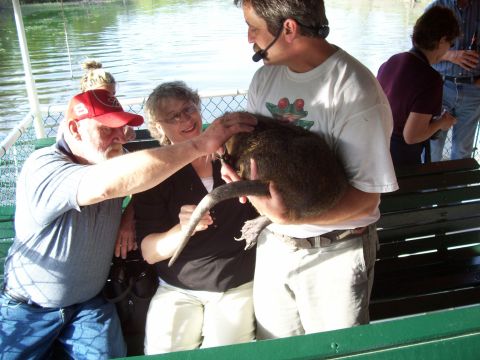 1992 Ford Bronco - A group of people on a boat interact with a large rodent, possibly a nutria or capybara.