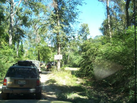 1992 Ford Bronco - A group of off-road vehicles travel down a dirt path surrounded by dense foliage under a clear blue sky.