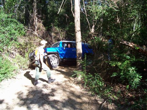 1992 Ford Bronco - Off-road vehicle maneuvering through a dense forest path.