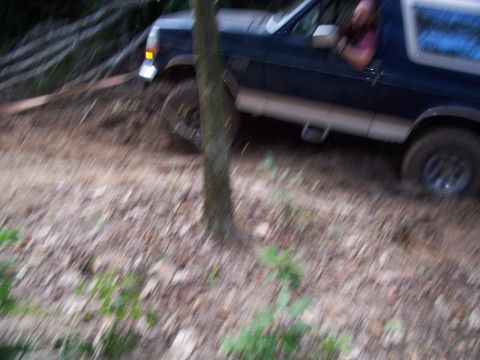 1992 Ford Bronco - A dark blue SUV with a white top navigates a dirt path, with a tree in the foreground.