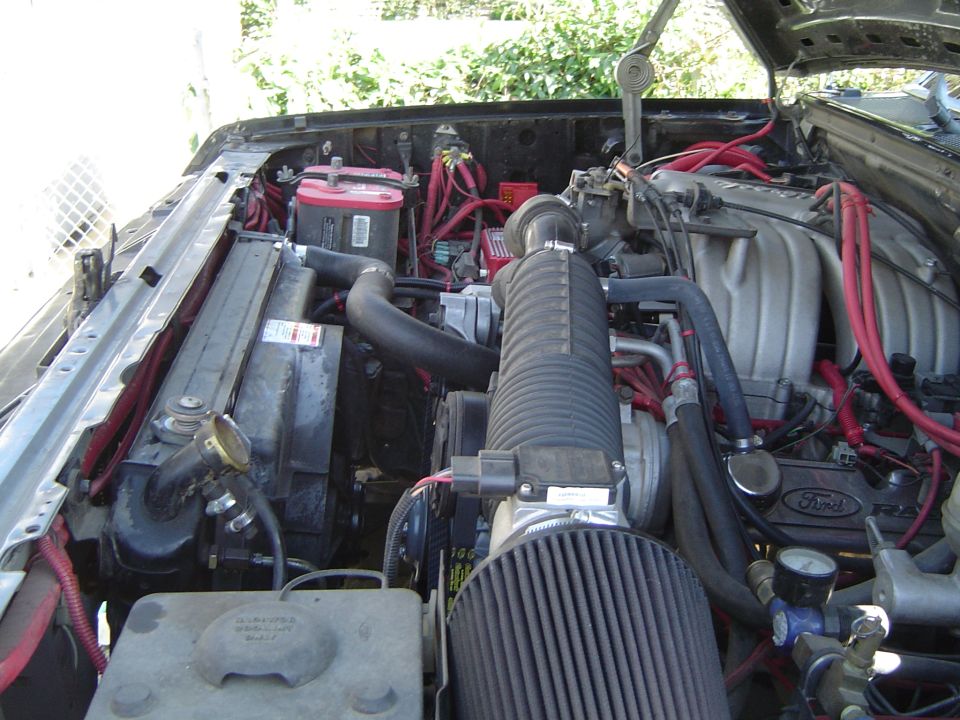 Ford V8 engine bay with cone air filter, red battery and red plug wires