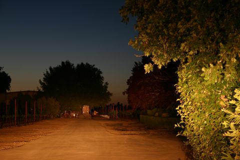 1996 Ford Bronco - A dirt road winds through trees and vineyards as the sky darkens.
