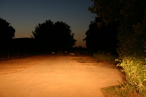 1996 Ford Bronco - Road illuminated by headlights at dusk, with trees and bushes lining the path. Supermotors logo visible.