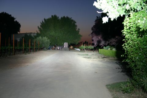 1996 Ford Bronco - A dirt road winds through a vineyard at twilight, illuminated by bright lights.