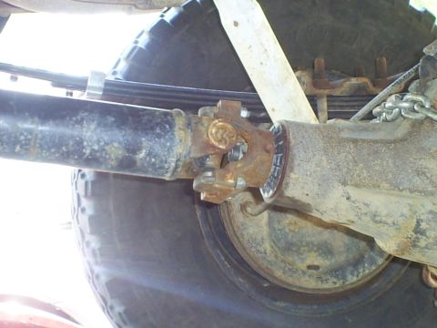 1994 Ford F-250 - This photo shows the underside of a vehicle, focusing on the driveshaft and rear axle assembly.