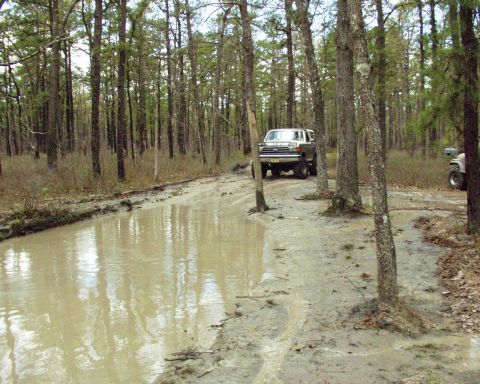 1989 Ford Bronco - A green 1987 Ford Bronco navigates a muddy path in a wooded area, with another vehicle visible in the background.