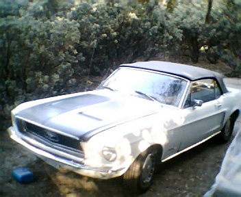 1968 Ford Mustang - A white 1967 Ford Mustang convertible with a black top is parked outdoors.