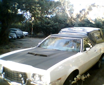 1972 Ford Ranchero - A white 1972 Ford Ranchero with a black hood and vinyl roof is seen parked in a wooded area with another vehicle in the background.