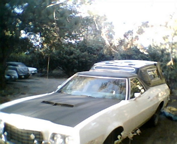 1972 Ford Ranchero - 1972 Ford Ranchero GT with aftermarket camper shell, parked in a wooded area. Another vehicle is in the background.