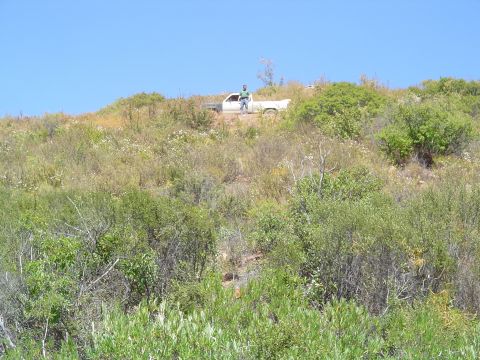 1992 Ford Explorer - A white pickup truck is parked on a hill, with a person standing beside it under a clear blue sky.